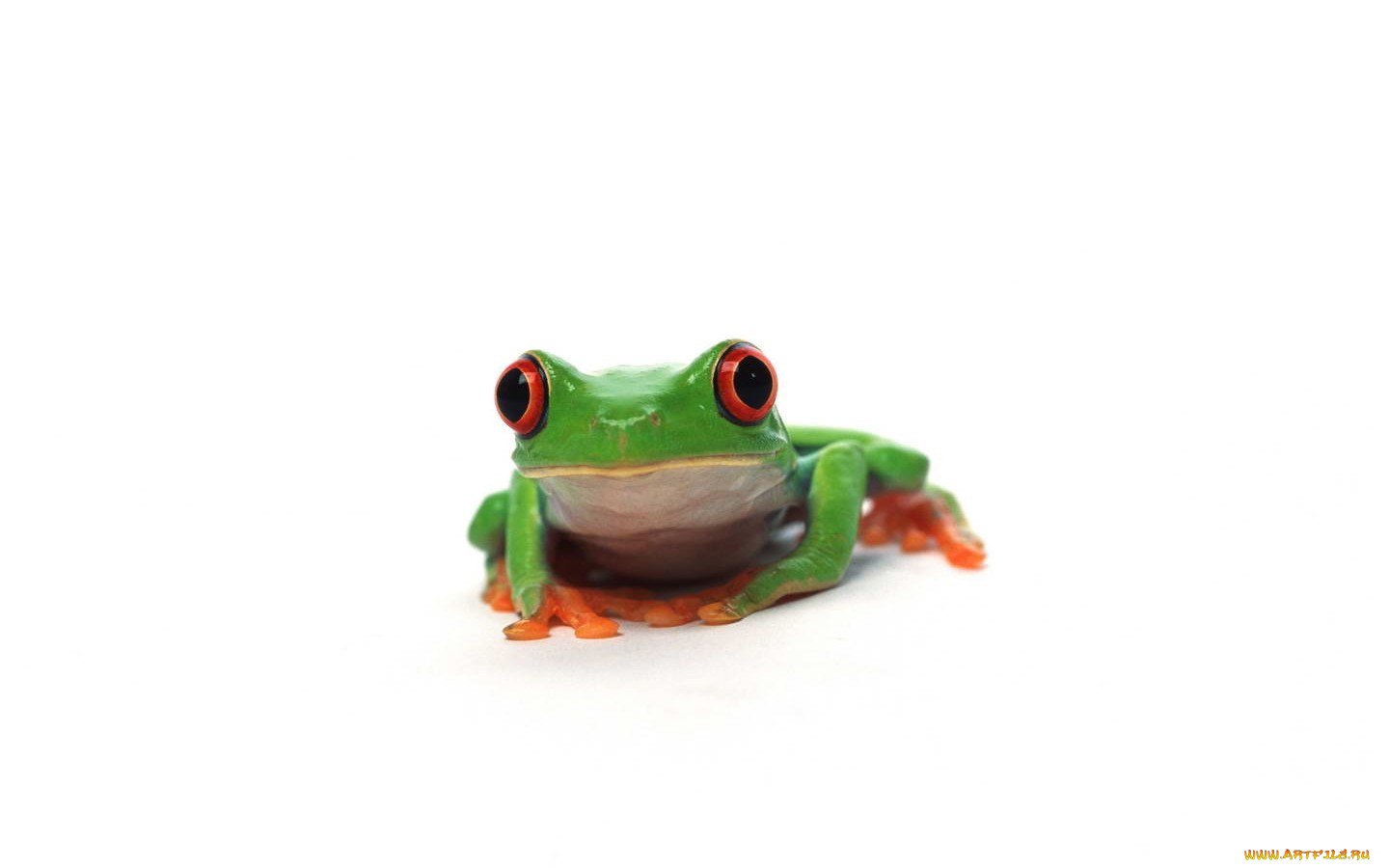 , 